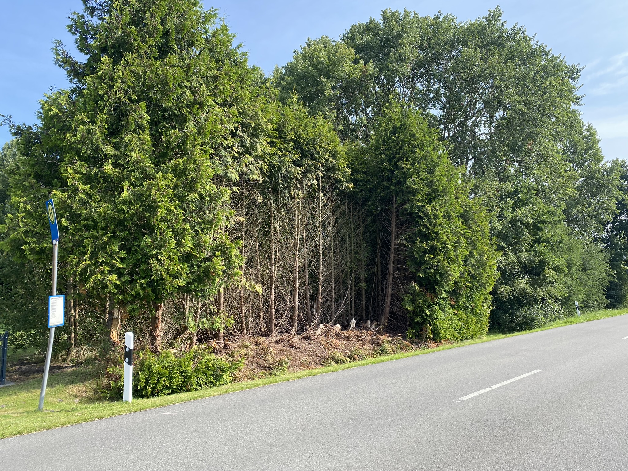 Wertermittlung